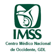 Logo IMSS